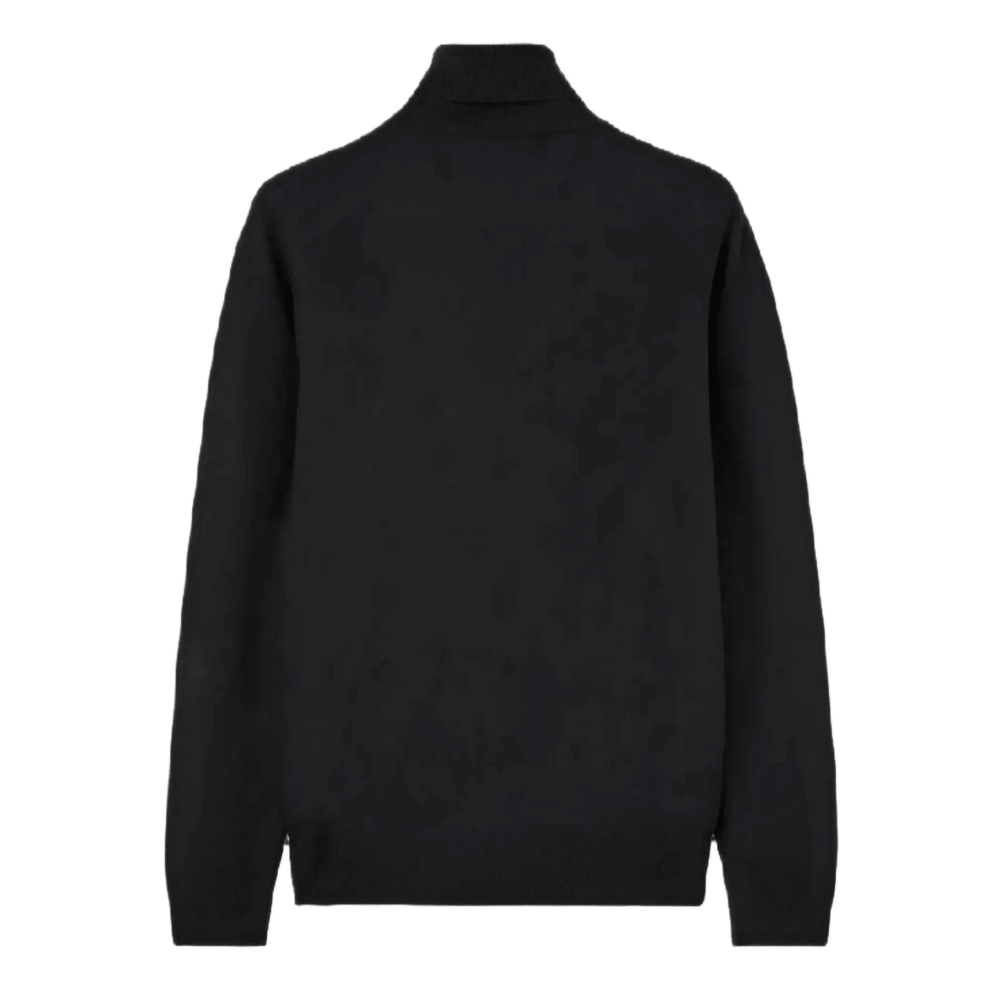 Loro Piana Men's Turtleneck