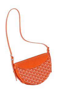 Goyard Hirondelle bag