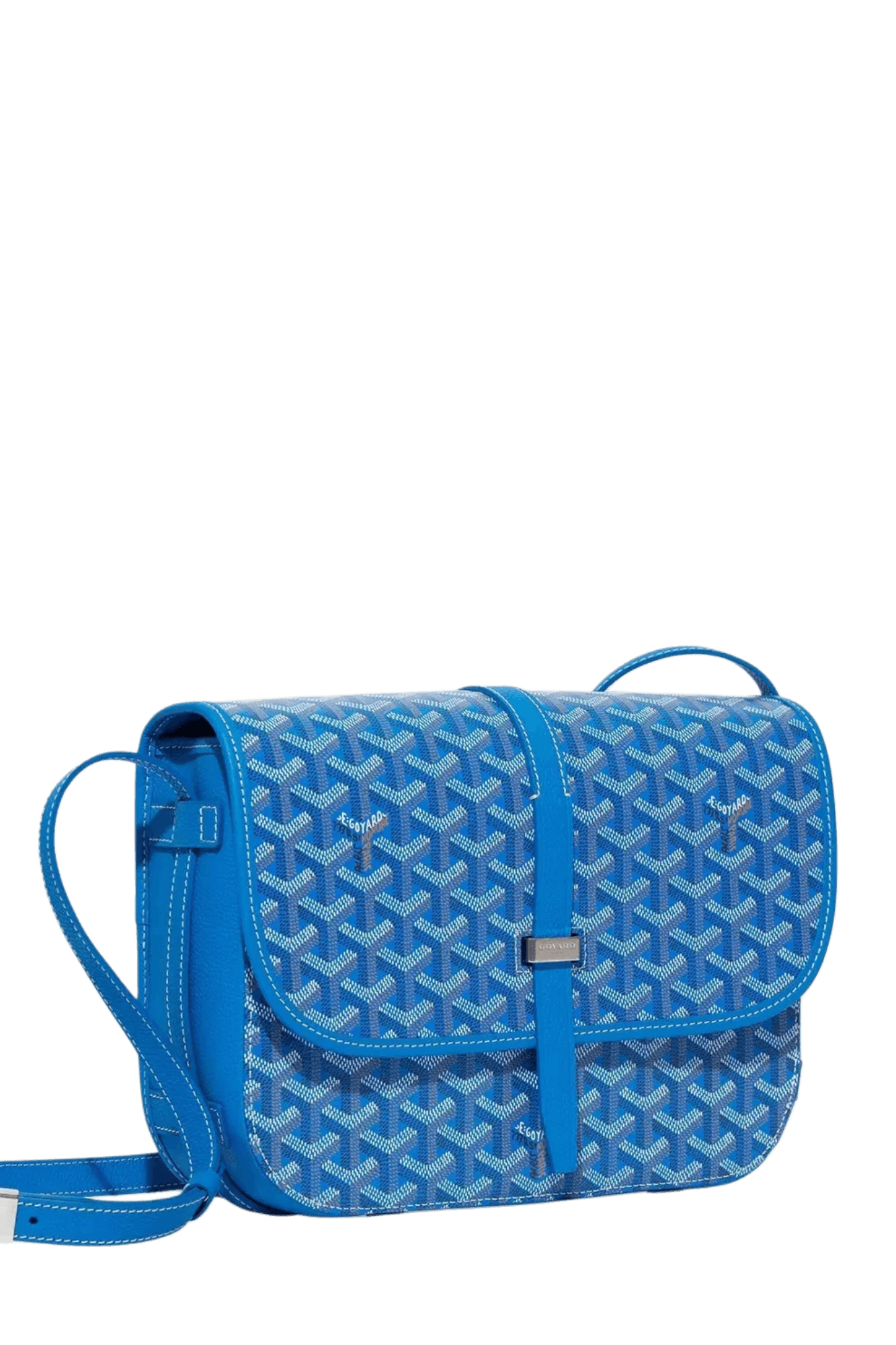 Goyard Belvédère MM bag