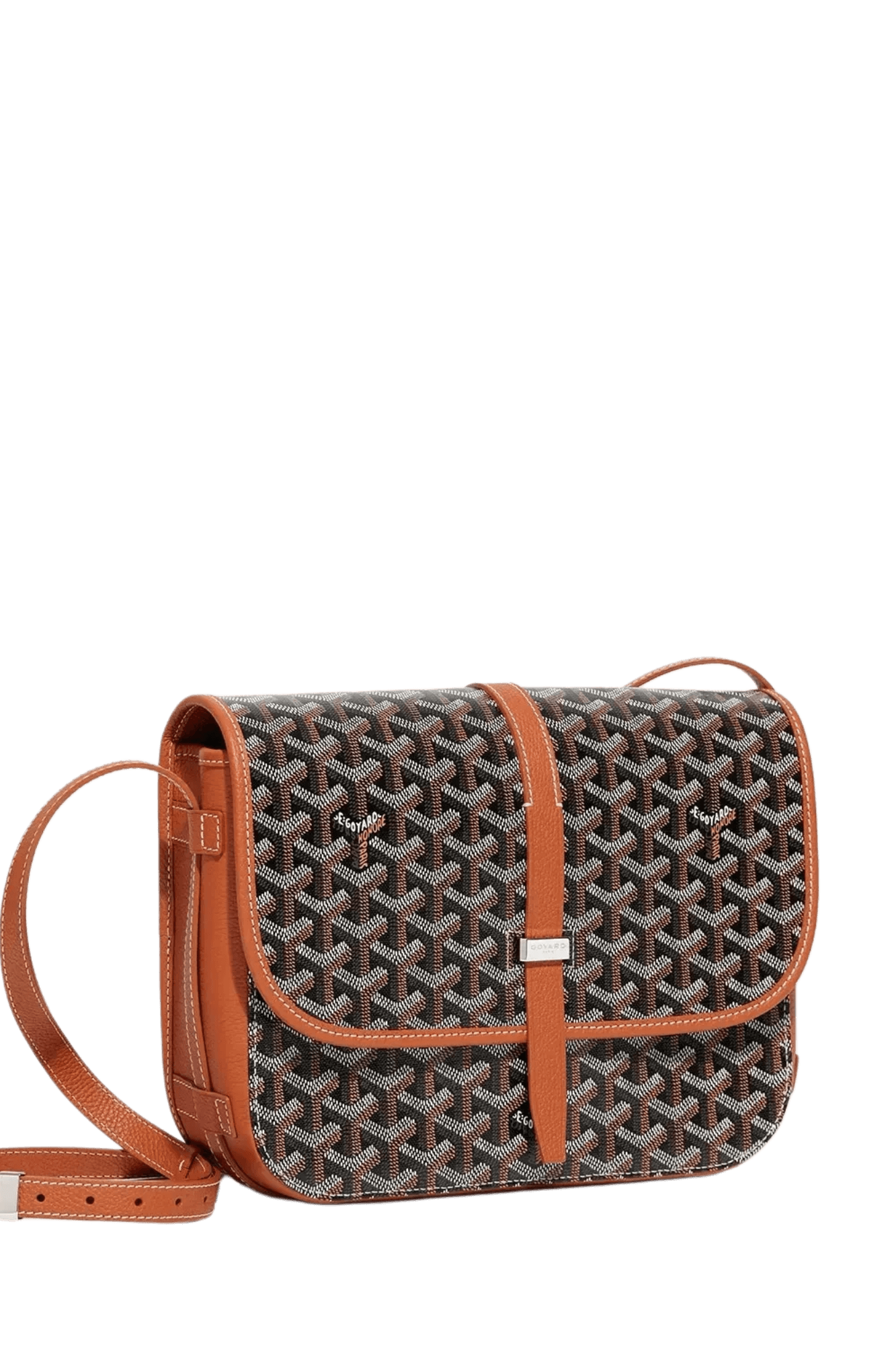 Goyard Belvédère MM bag