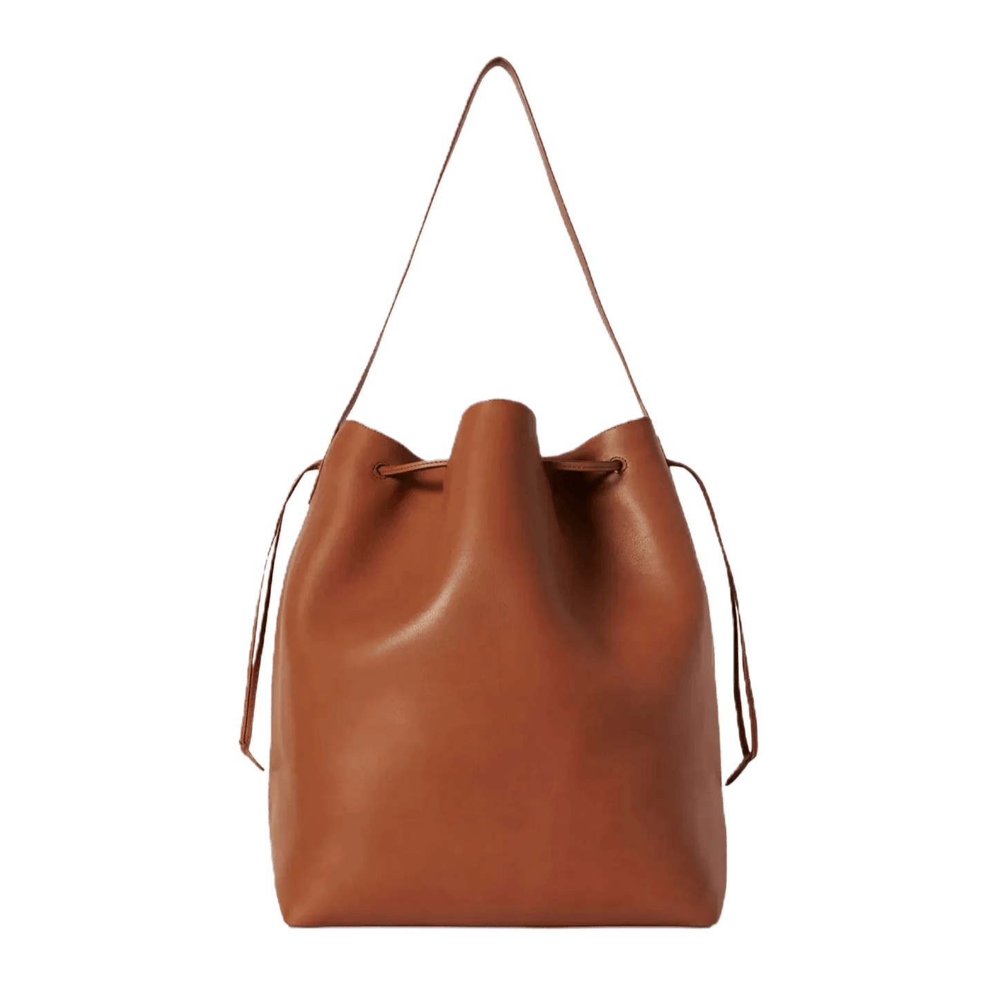 The Row Belvedere Tote Bag in Leather