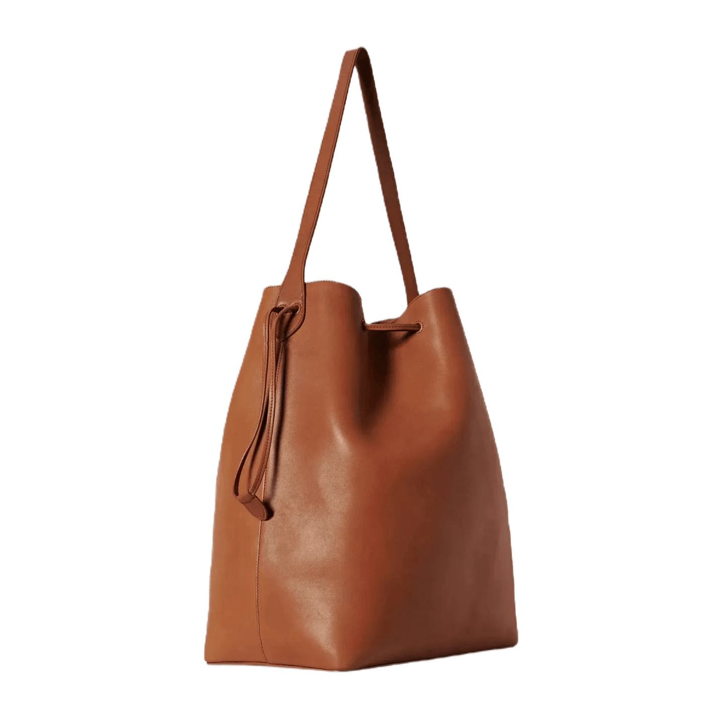 The Row Belvedere Tote Bag in Leather